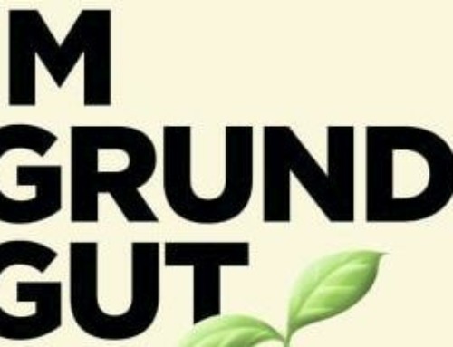 ✰ Rutger Bregman: Im Grunde gut (2021)