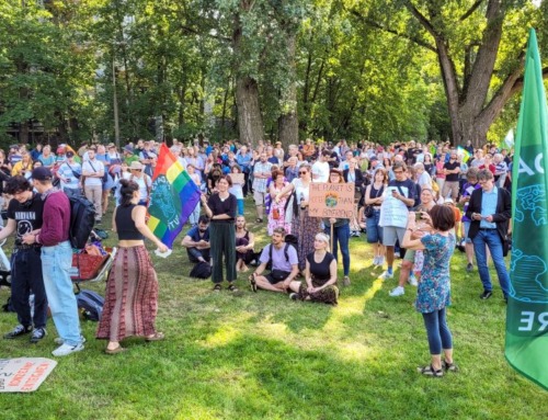 Globaler Klimastreik in Nürnberg