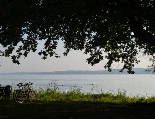 Ammersee Exkursion