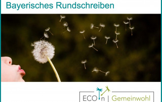 Ein Kind pustet Löwenzahn-Samen; Bayerisches Rundschreiben Juli 2025, ECOinGOOD-Logo.