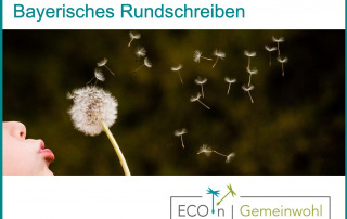 Kind pustet Pusteblume, Logo ECOinGOOD Gemeinwohl Ökonomie, Bayerisches Rundschreiben Juni.