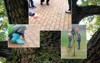 Kinder spielen im Freien und lernen über GWÖ