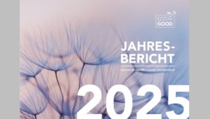 Jahresbericht 2025