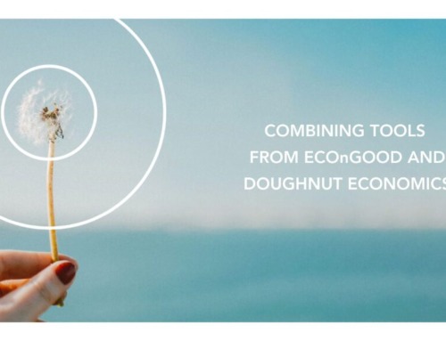 Gemeinwohl-Ökonomie und Doughnut Economics: Zwei Ansätze, ein gemeinsames Ziel